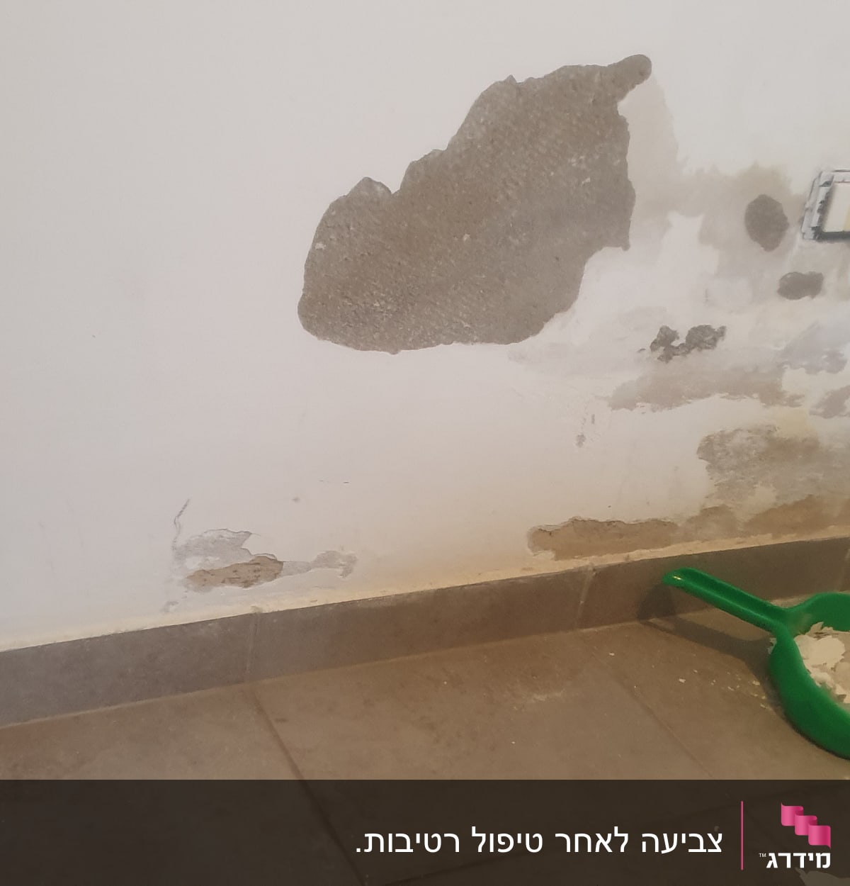 קיר עם טיח מתקלף ויעה ירוק עם שאריות טיח